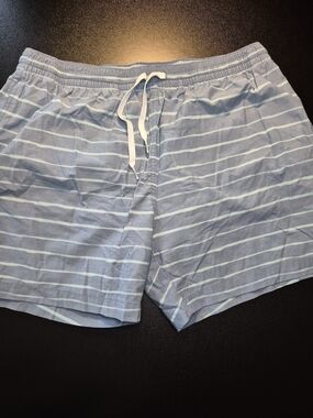 chubbies Light Blue Striped Men's Shorts 3469/7